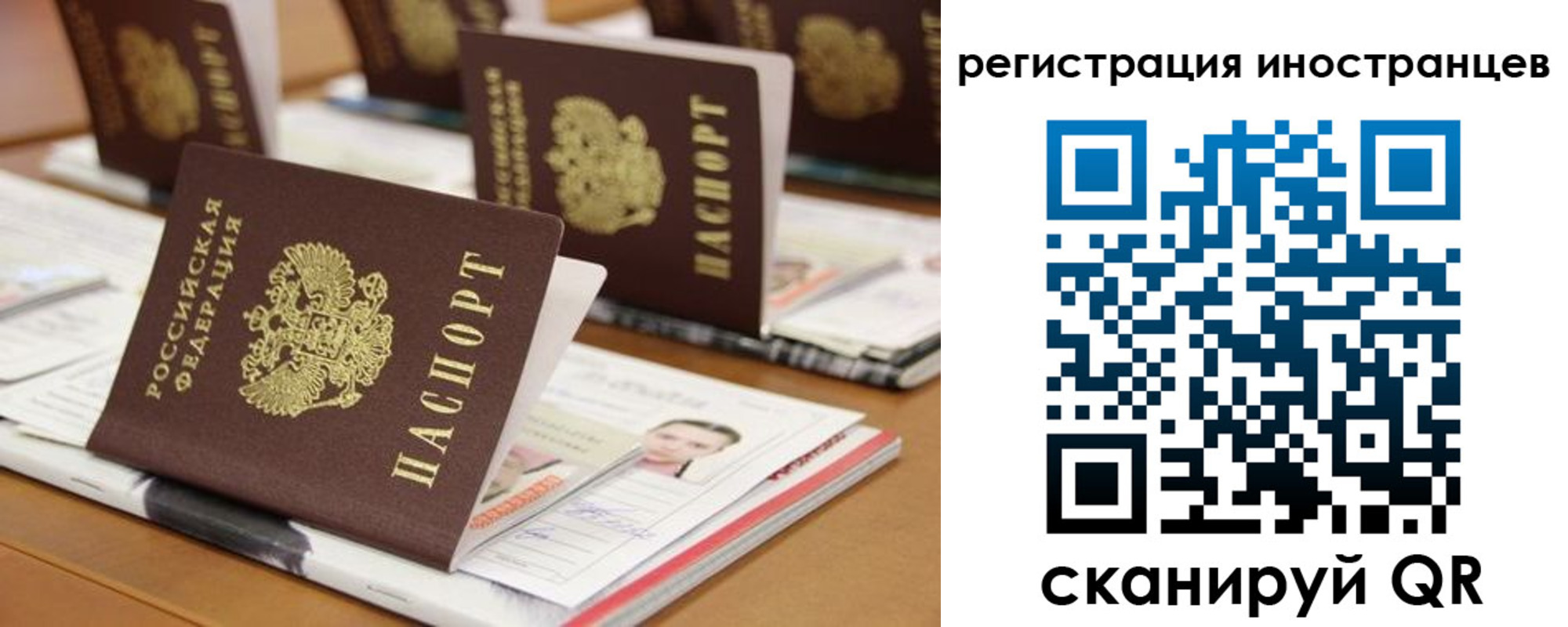 пропишу в квартире в Видном