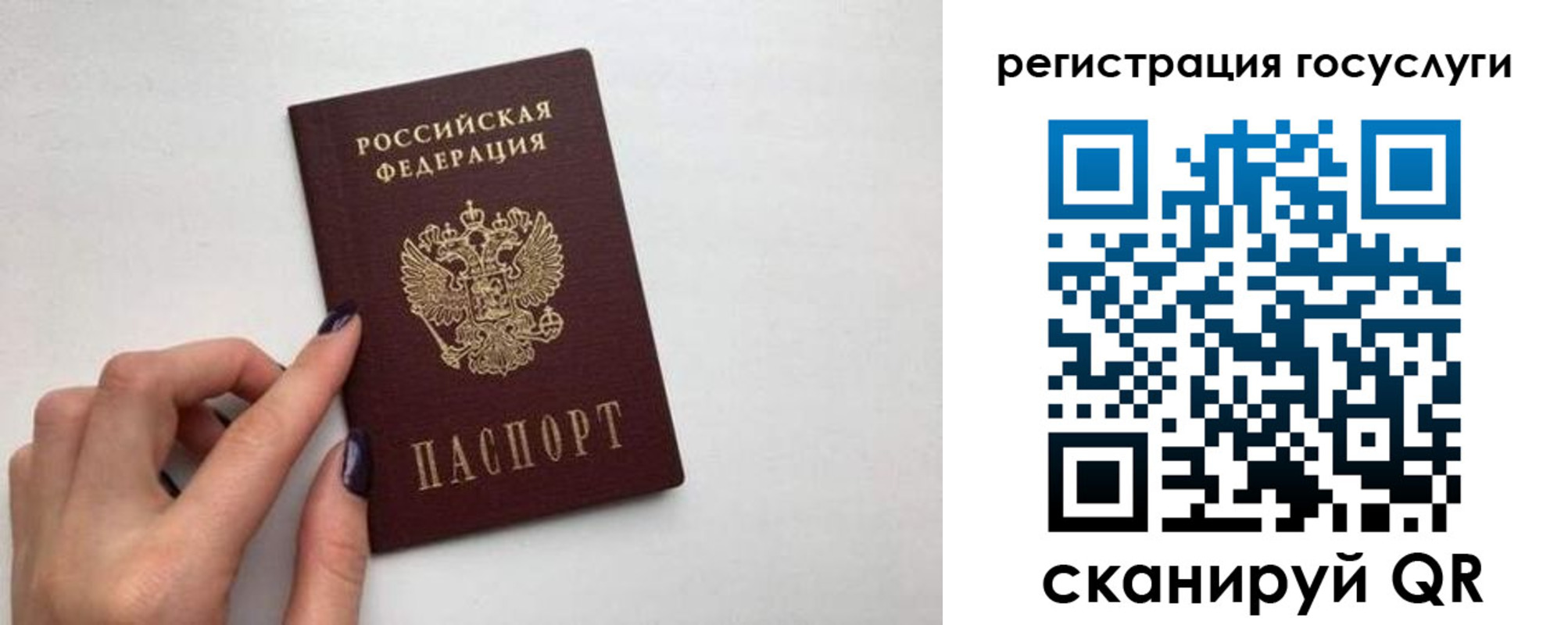 временная регистрация гарантия в Видном